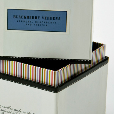 Anthropologie-box-4