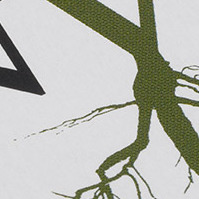 Converd-slipcase-1